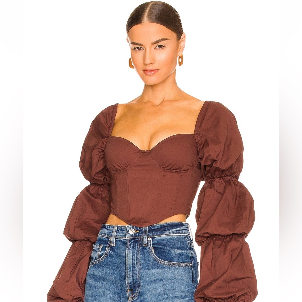Majorelle top corset with puffy sleeves size small.